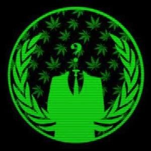 Meet your Posher, Jesse